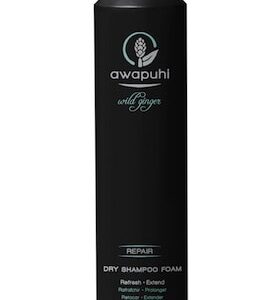 Paul Mitchell Awaphui Wild Ginger Dry Shampoo Foam 5.6 oz Womens Paul Mitchell