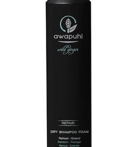 Paul Mitchell Awapuhi Dry Shampoo Foam 2 oz Womens Paul Mitchell