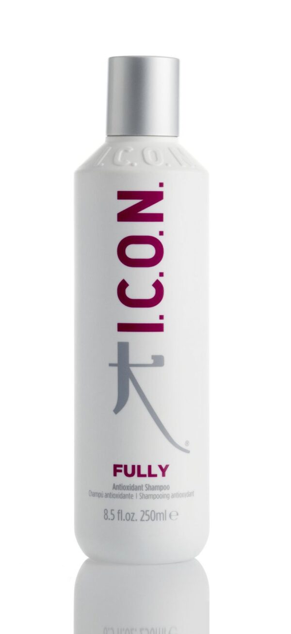 I.C.O.N. Fully Antioxidant Shampoo 8.5 oz Womens Icon Shampoos