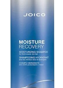 Joico Moisture Recovery Shampoo 10.1 oz Womens Joico