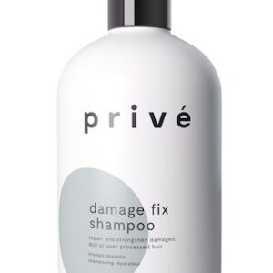 Prive Damage Fix Shampoo 12 oz Womens Prive