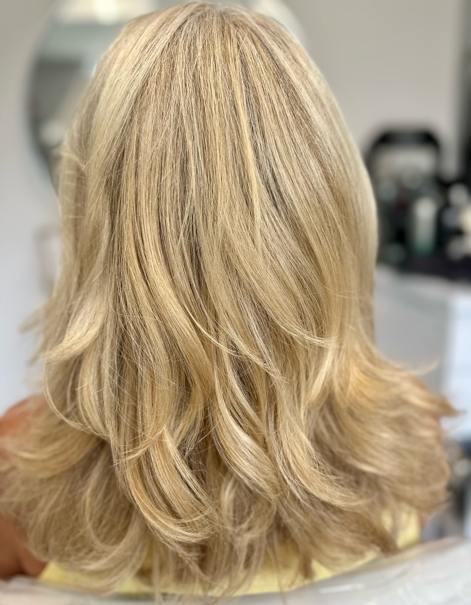 Gray Blending Back View - Hair By Marianne - Hair Salon Dedham MA