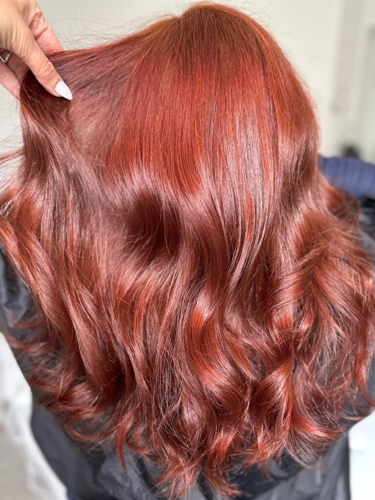 Fall Hair Color Inspiration in Hair Salon in Dedham Massachusetts