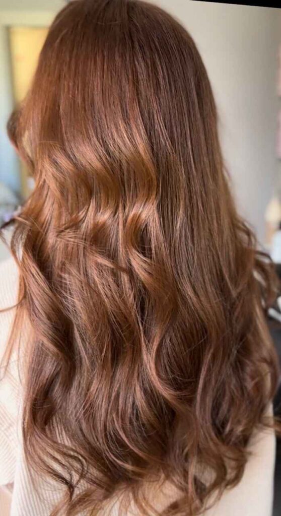 Rich Brown Copper Tone Hair Color Service Hair Salon Dedham Massachusetts 