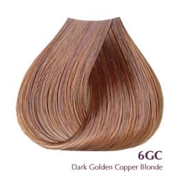 Satin Professional Hair Color 6GC 3 oz Womens Satin Hair Color