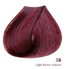 Satin Professional Hair Color 5R 3 oz Womens Satin Hair Color